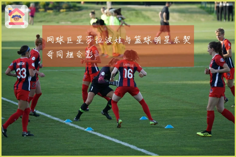 网球巨星莎拉波娃与篮球明星东契奇同框合影